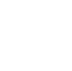 Tilly Fox Art Studio logo