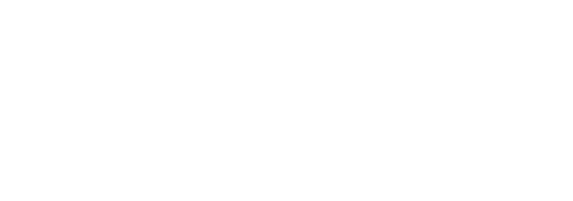 Vectis Infrastructures logo