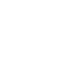 Cowes Ladies FC logo