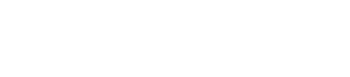 Norton Rose Fulbright logo