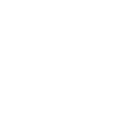 TheChels logo